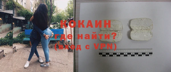 шишки Арсеньев