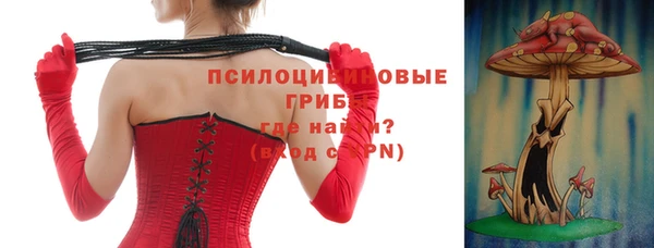 шишки Арсеньев