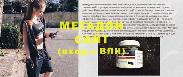 шишки Арсеньев