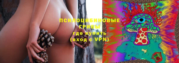 шишки Арсеньев