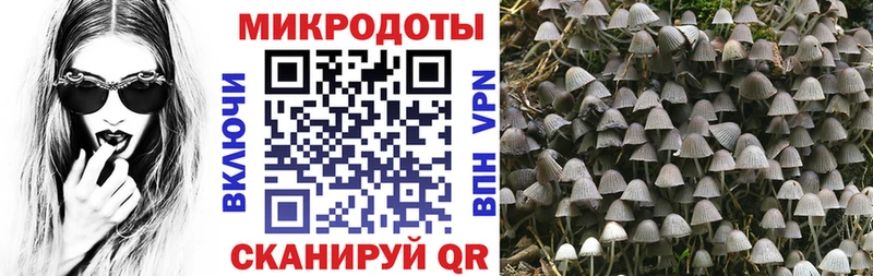 Галлюциногенные грибы ЛСД  Волгодонск 