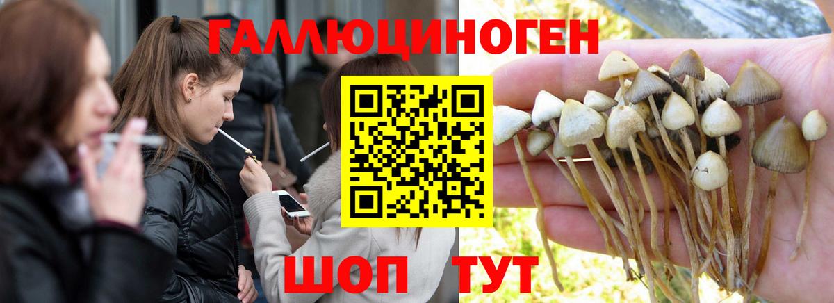 Галлюциногенные грибы Cubensis  Вход с VPN  купить закладку  Галлюциногенные грибы GOLDEN TEACHER  Волгодонск 